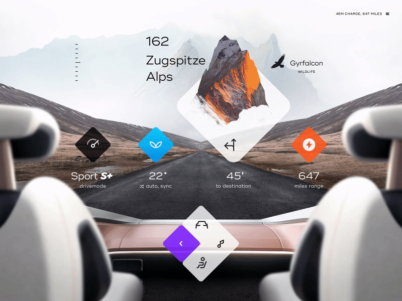HoloDash