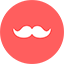 dnzg.ru